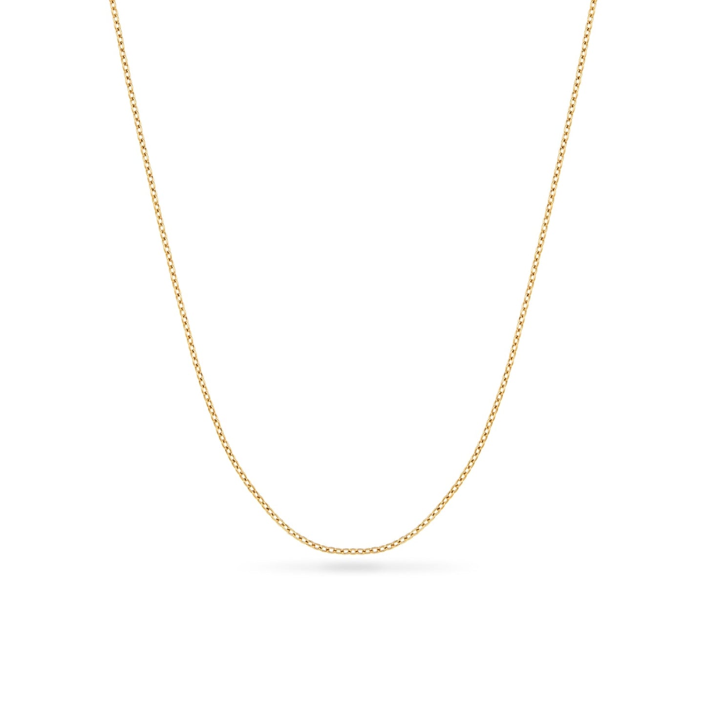 Murphys Sketches x Abbott Lyon Custom Robin Coin Necklace (Gold)