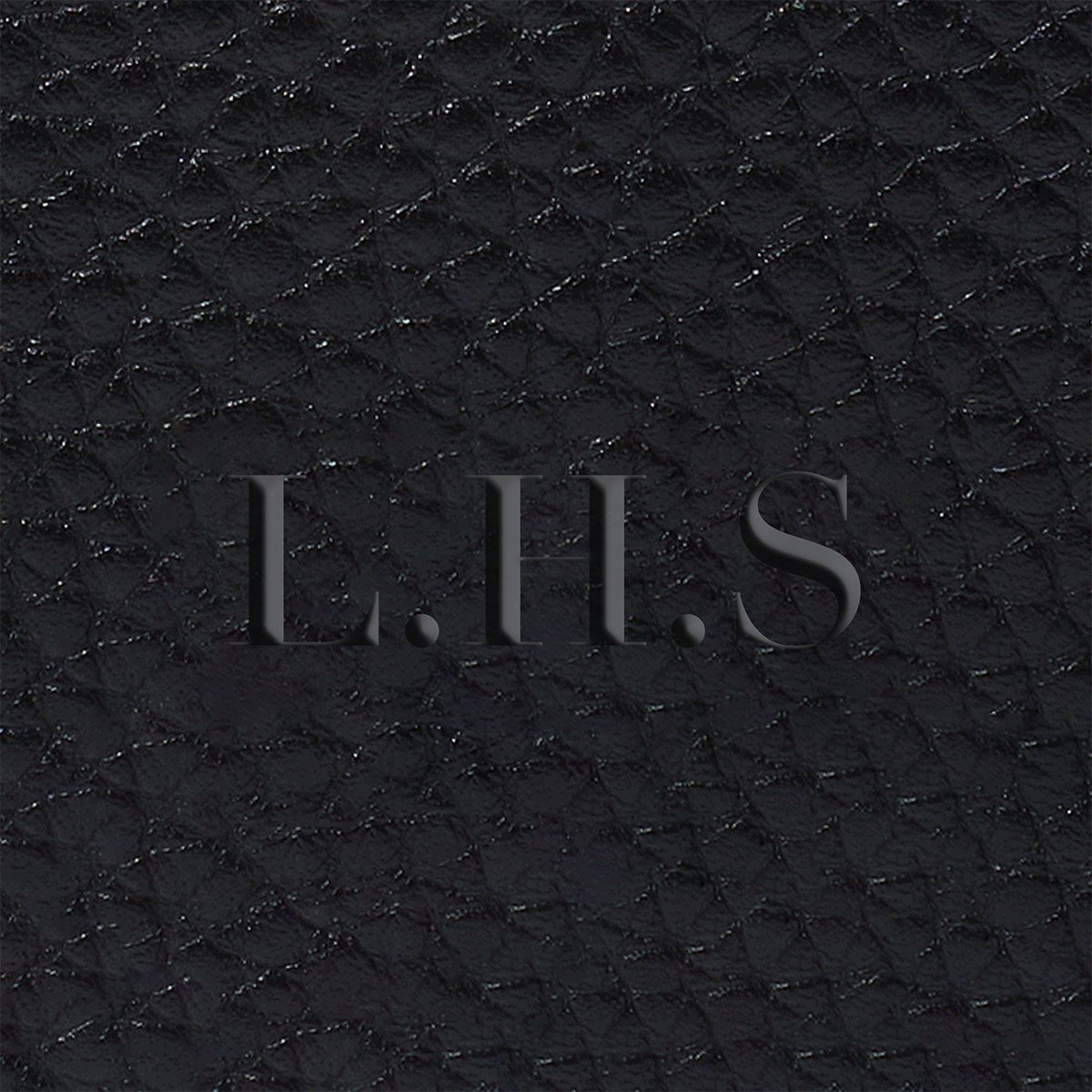 Leather Passport Holder (Black)