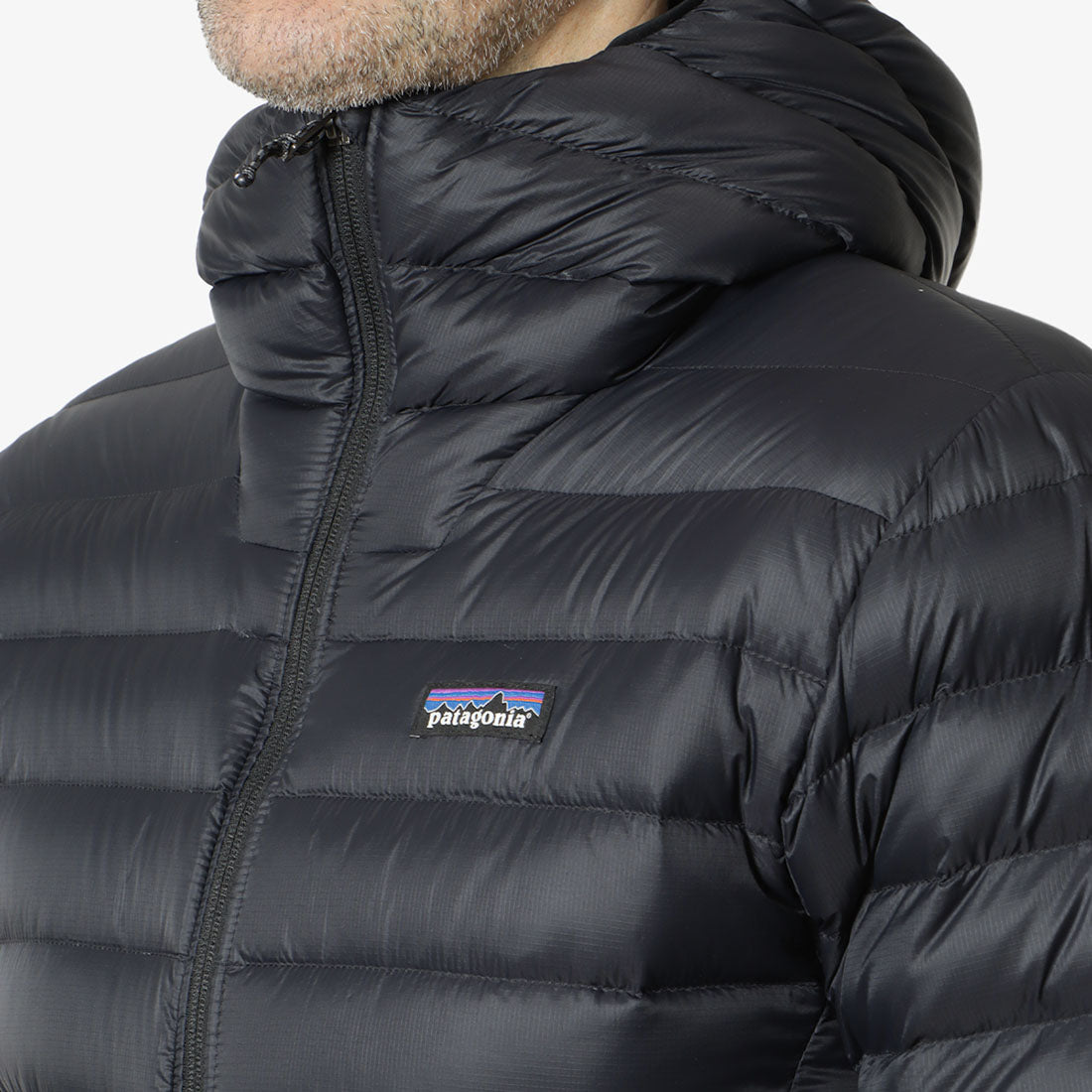 Patagonia Down Sweater Hoodie