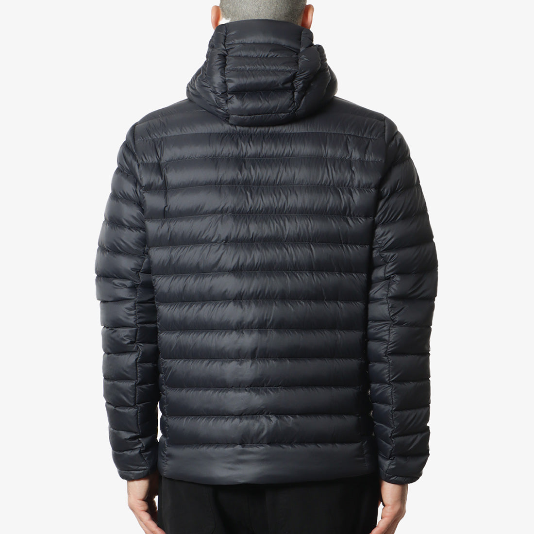 Patagonia Down Sweater Hoodie
